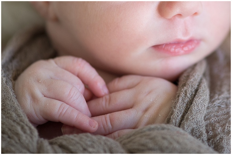 phoenix newborn 
